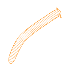 Animals Myriapods Giant African Millipede Svg Line Art, Free Vectors File